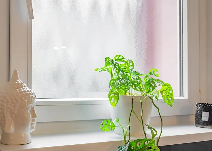 公寓 Castle Cozy 布拉迪斯拉发